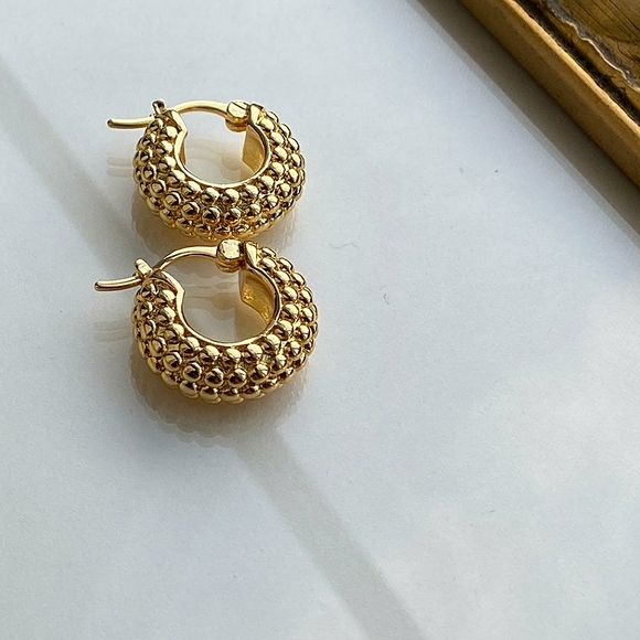Jewelry - NWOT Minimal Chunky Hoop Earring